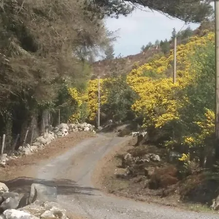 Tatil Evi Heather Cottage, Creeslough