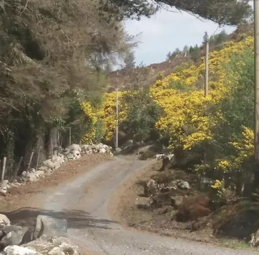 Dom wakacyjny Heather Cottage, Creeslough
