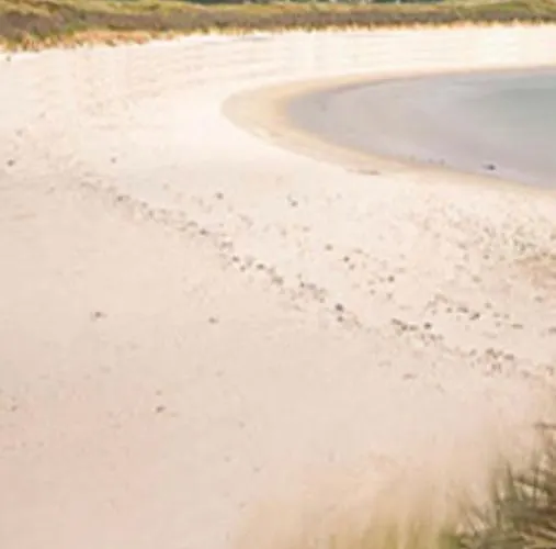 Heather Cottage, Dom wakacyjny